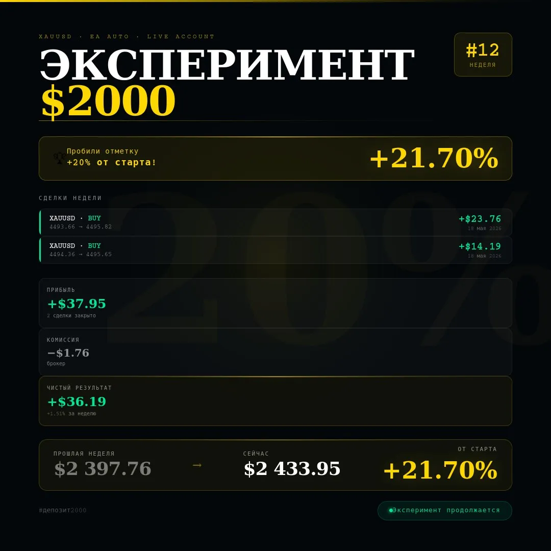 Скриншот публикации — Эксперимент $2000 — неделя #12